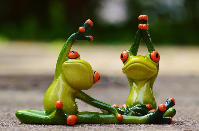 Core Stability Exercise